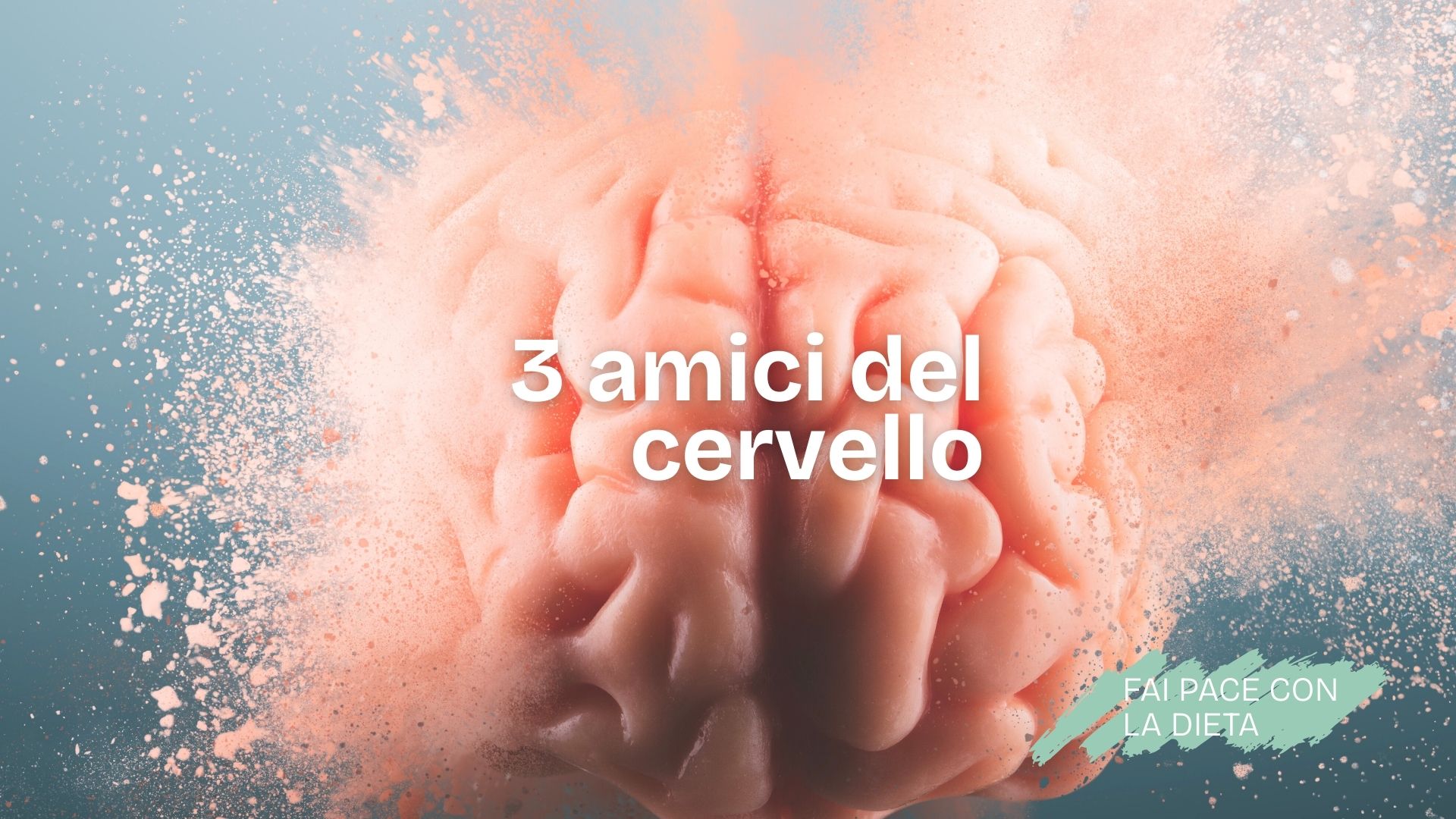 3 cibi amici del cervello: alimenti che migliorano memoria, concentrazione e umore
