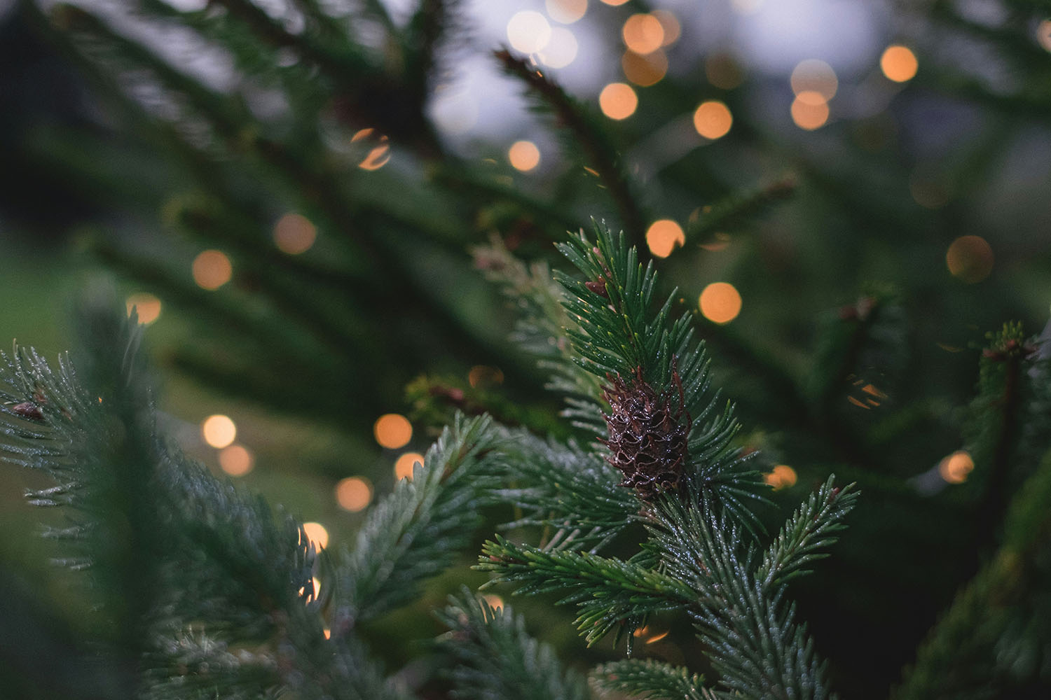 Fai Pace Con Le Feste